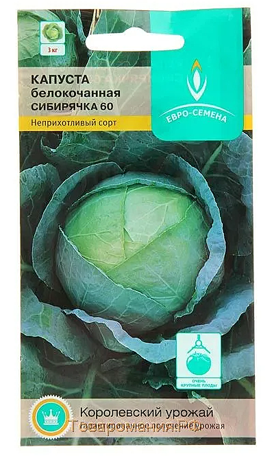 Семена: Капуста б/к Сибирячка (Ц) 0,5г Поиск