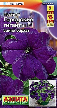 Семена: Петуния F1 Гор.Гир син.бархат  (Ц) 7шт А