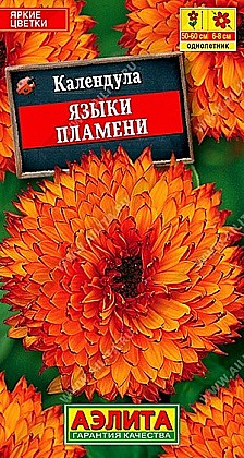 Семена: Календула Языки пламени (Ц) 0,5г А