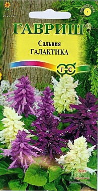 Семена: Сальвия Галактика смесь (Ц) 6шт G