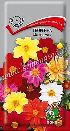 Семена: Георгина Мигнон микс (Ц) 0,2г ПСК