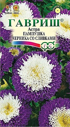 Семена: Астра Пампушка черник/слив (Ц) 0,3г G