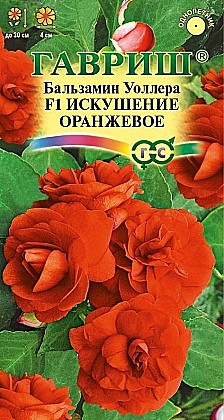 Семена: Бальзамин F1 Искушен.оранж (Ц) 4шт G 