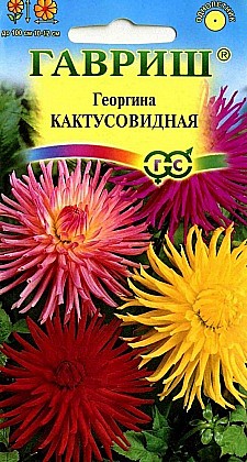 Семена: Георгина Кактусовидная смесь (Ц) 0,2г G
