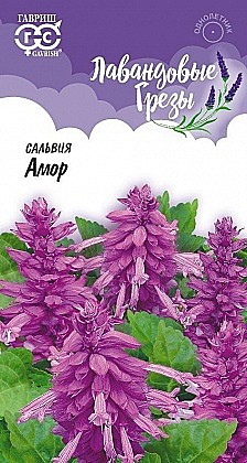 Семена: Сальвия Амор лаванд. (Ц) 4шт G