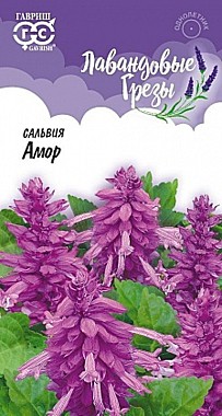 Семена: Сальвия Амор лаванд. (Ц) 4шт G