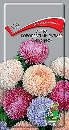 Семена: Астра Королеский размер смесь  (Ц) 0,1г ПСК