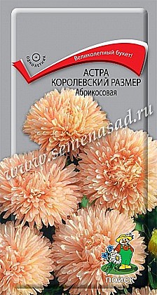 Семена: Астра Королеский размер абрик.(Ц) 0,1г ПСК