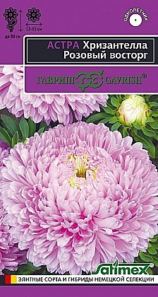 Семена: Астра Хризан. Роз. восторг (Ц) 0,05г G