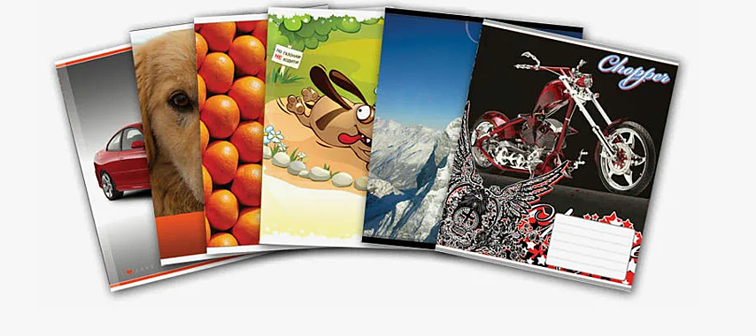 Тетрадь 48л в ассортименте