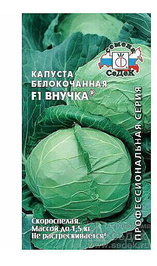 Семена: Капуста б/к F1 Внучка (Ц) 0,3г СД СД СД