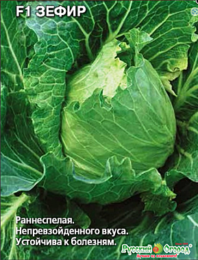 Семена: Капуста б/к F1 Зефир (Ц) 0,3г СД СД СД