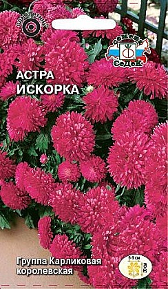 Семена: Астра Искорка  (Ц) 0,2г СД