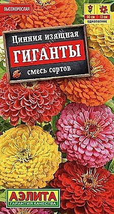 Семена: Цинния Гигант смесь (Ц) 0,5г А