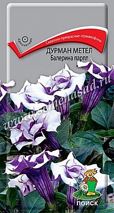 Семена: Дурман Балерина парпл (Ц) 3шт ПСК