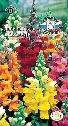 Семена: ЛЬВИНЫЙ ЗЕВ Акварель (Ц) 0.1г СД