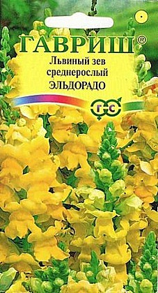 Семена: ЛЬВИНЫЙ ЗЕВ Эльдорадо   (Ц) 0.1г G