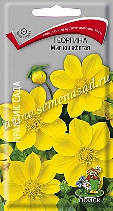 Семена: Георгина Мигнон жел (Ц) 0,2г ПСК