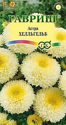 Семена: Астра Хелльгельб св.-жел  (Ц) 0,3г G