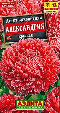 Семена: Астра Александрия красная (Ц) 0,1г А