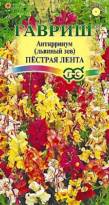 Семена: ЛЬВИНЫЙ ЗЕВ Пестрая лента  (Ц) 0.05г G