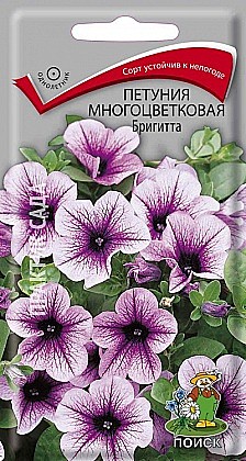 Семена: Петуния F1 Бригитта 20шт (Ц) ПСК