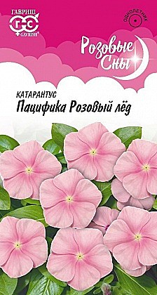 Семена: Катарантус Пац.Розовый лед  (Ц) 5шт G