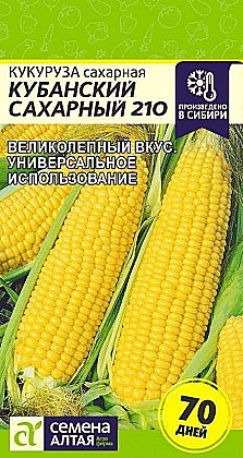 Семена: Кукуруза Кубанская сахар 210 (Ц) 5г САлт