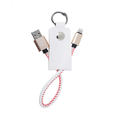 Кабель-брелок для зарядки телефонов FORZA iP 1А в кожаной оплетке с кольцом 916-055