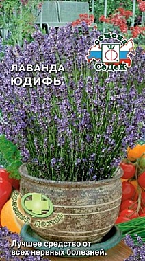 Семена: Лаванда Юдифь (Ц) 0,05г СД