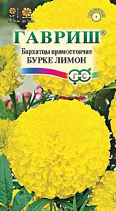 Семена: Бархатцы пр.Бурке Лимон 0,3г (Ц) GG