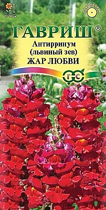 Семена: ЛЬВИНЫЙ ЗЕВ жар любви  (Ц) 0.5г G