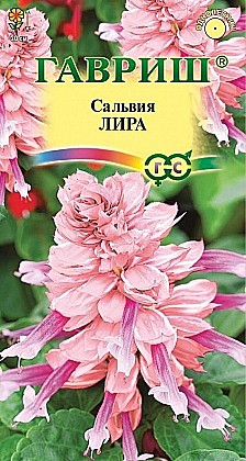 Семена: Сальвия Лира (Ц) 4шт G