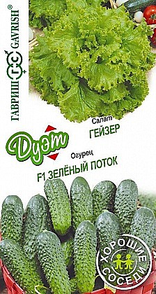 Семена: Салат Гейз+Огурец Зел.поток (Дуэт) 0,8г G
