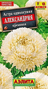 Семена: Астра Александрия крем (Ц) 0,1г А