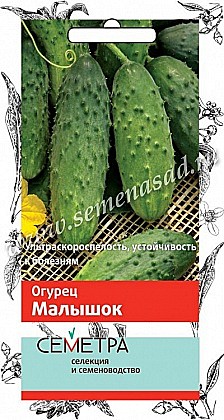 Семена: Огурец Малышок (ЦС) 0,5г ПСК