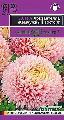 Семена: Астра Хризан. Жемчуж.восторг (Ц) 0,05г G