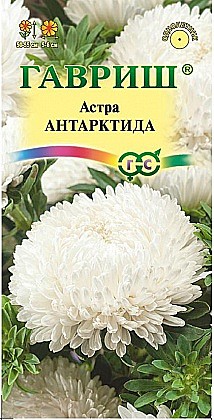 Семена: Астра Антарктида бел. 0,3г (Ц) G