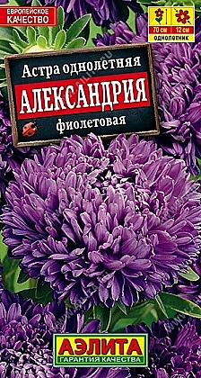 Семена: Астра Александрия фиол. (Ц) 0,1г А