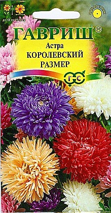 Семена: Астра Королеский размер смесь  (Ц) 0,3г G