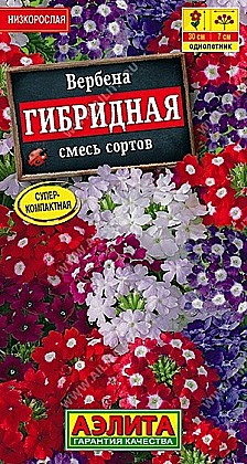 Семена: Вербена Гибридная смесь (Ц) 40шт. А