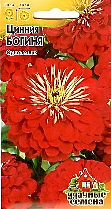 Семена: Цинния Богиня (ЦУС) 0,3г G